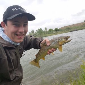 Meet your Posher, Kevin